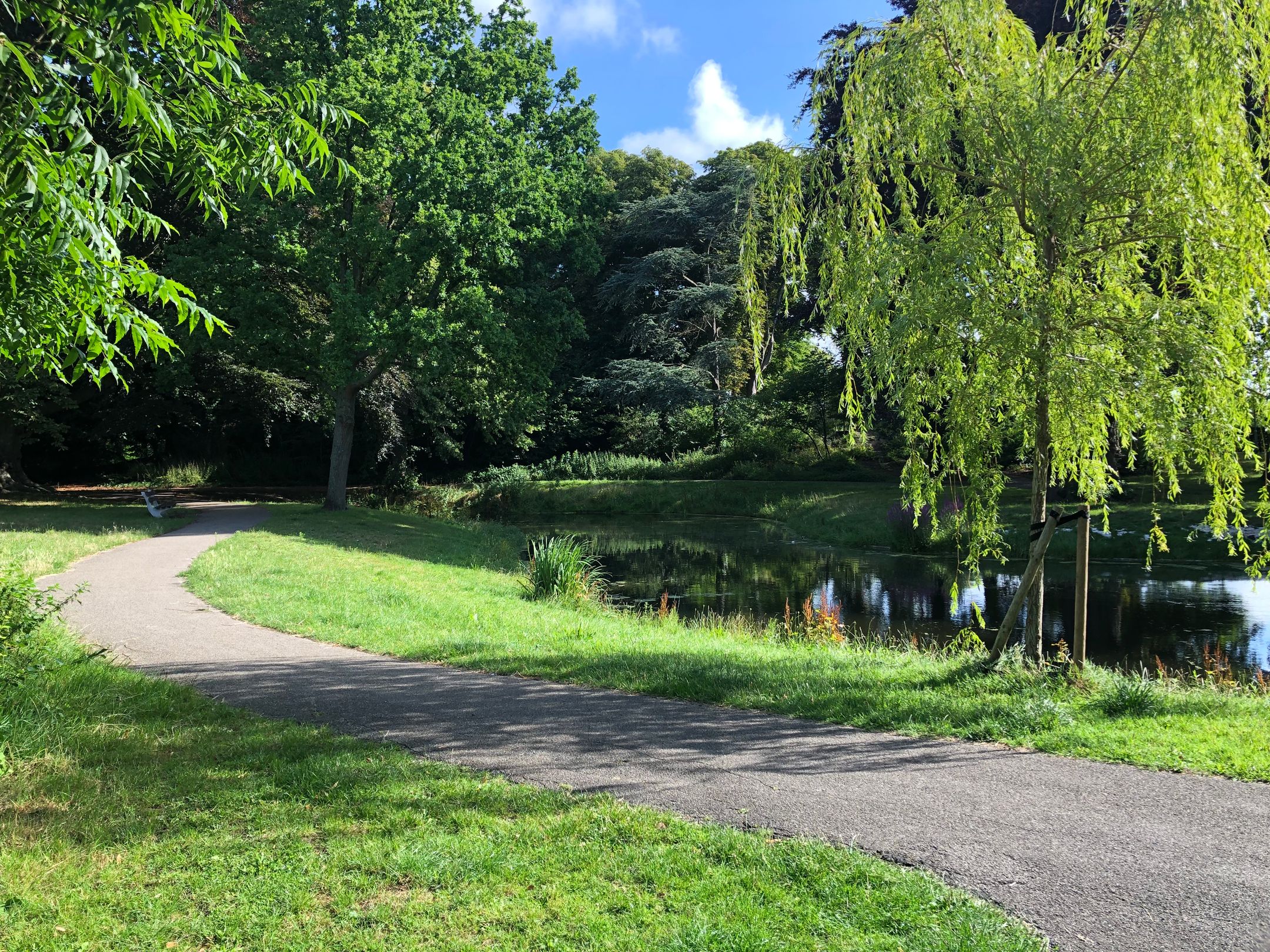 Foto 69 van Binckhorstlaan 6