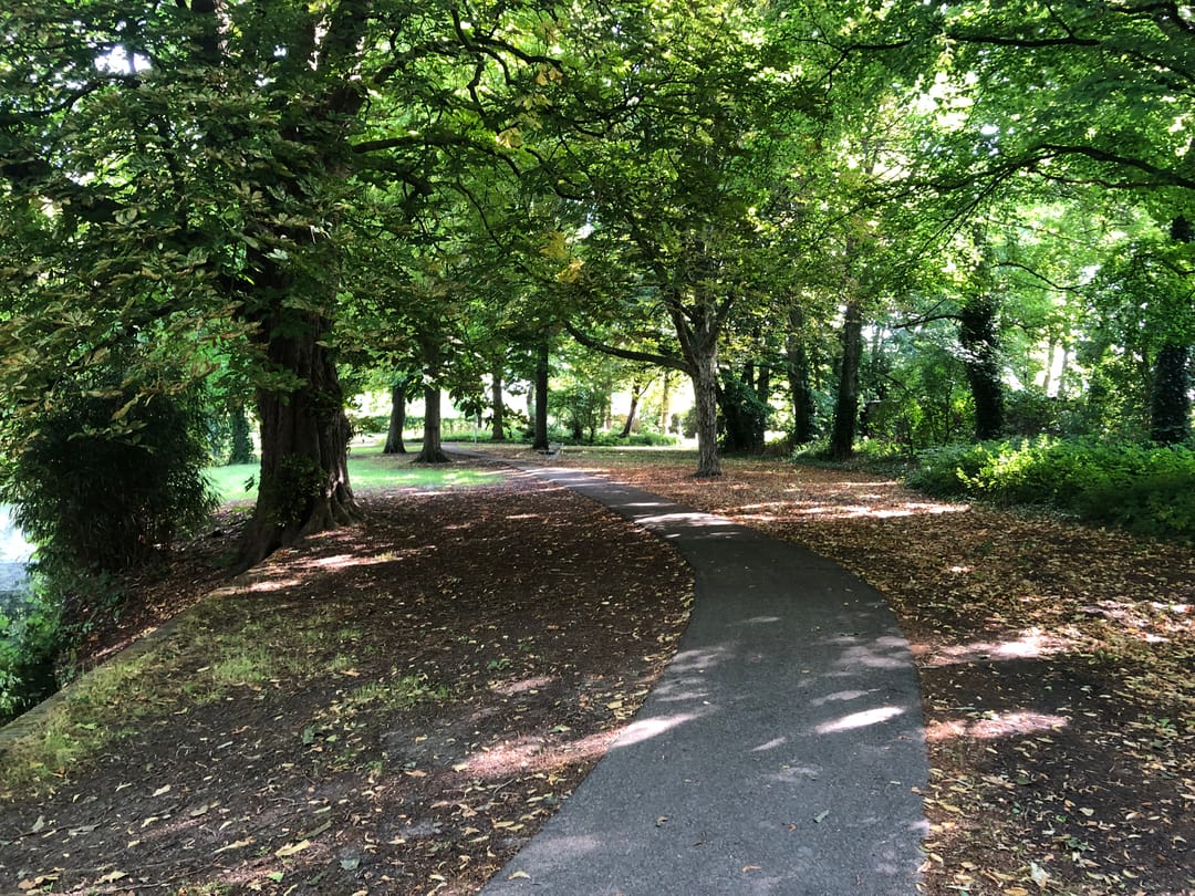 Foto 71 van Binckhorstlaan 6