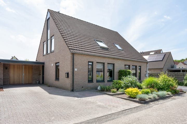 Foto 1 van Brandgans 48