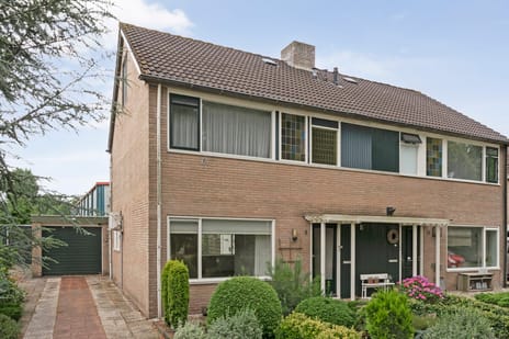 undefined main image