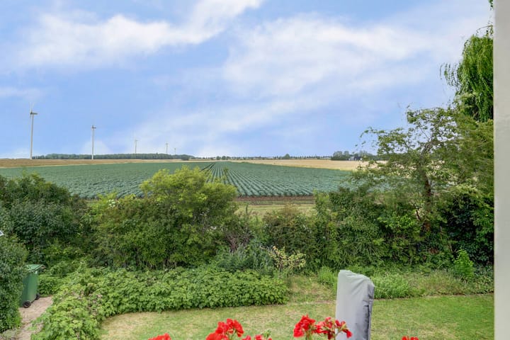 Foto 6 van Buitenlanden 6