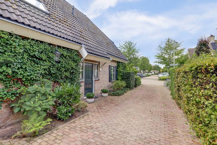 Foto 28 van Buitenlanden 6