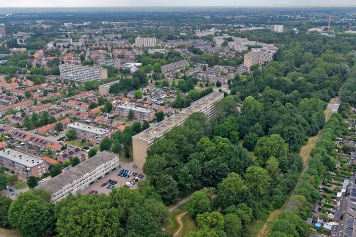 Foto 24 van Trekvogelweg 61