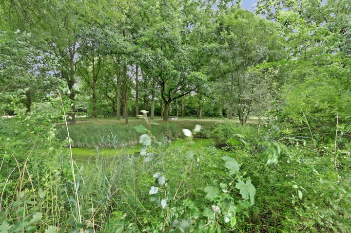 Foto 25 van Trekvogelweg 61