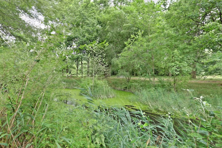 Foto 26 van Trekvogelweg 61