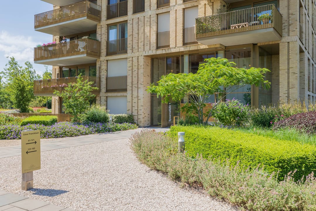 Photo 8 of César Francklaan 89