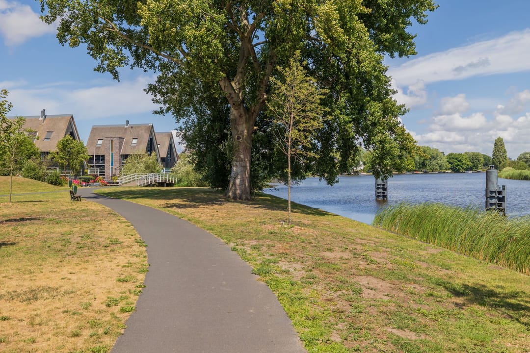 Photo 32 of César Francklaan 89