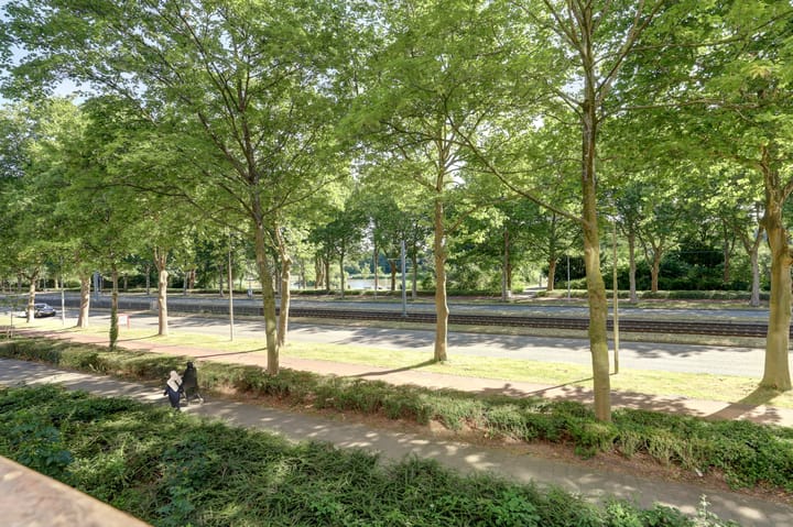 Foto 28 van Livingstonelaan 472