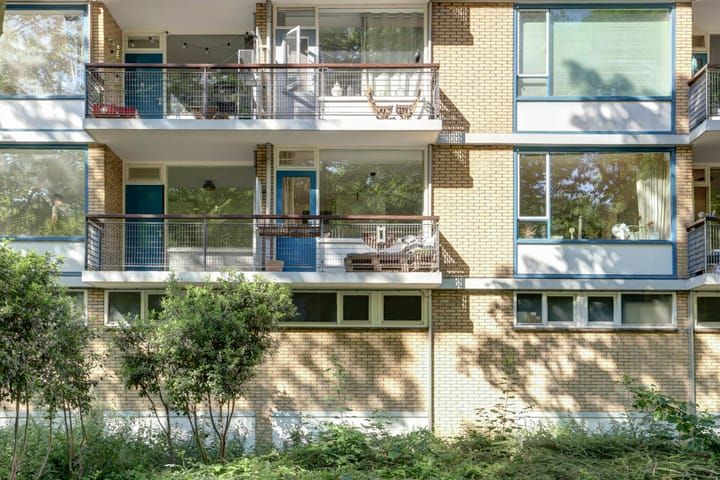 Foto 29 van Livingstonelaan 472