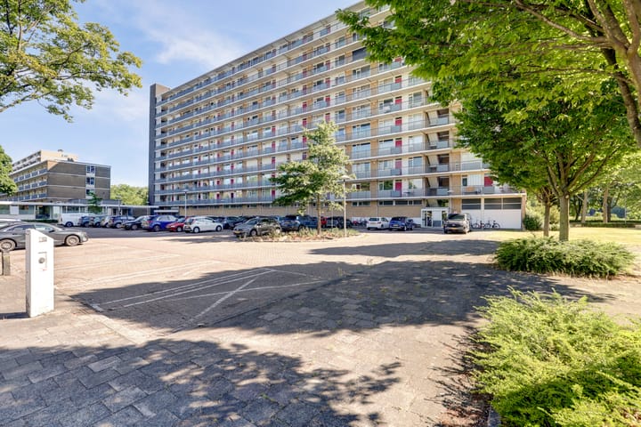 Foto 8 van Livingstonelaan 472