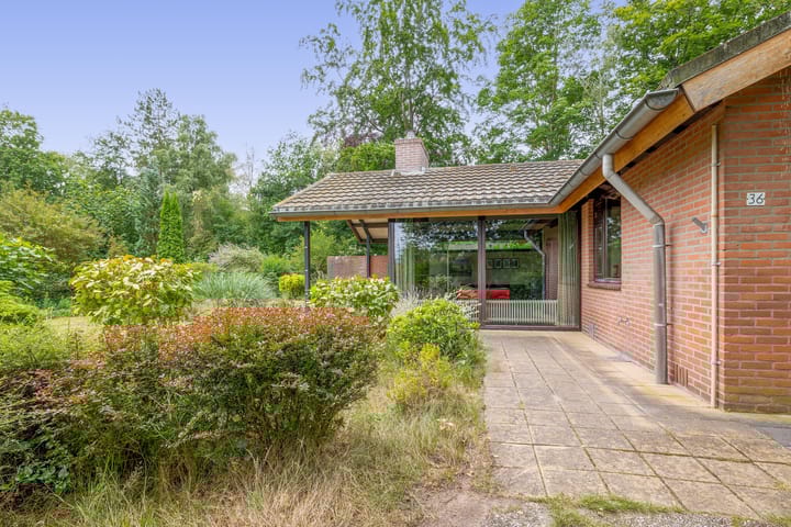 Photo 5 of Konijnenbergen 36