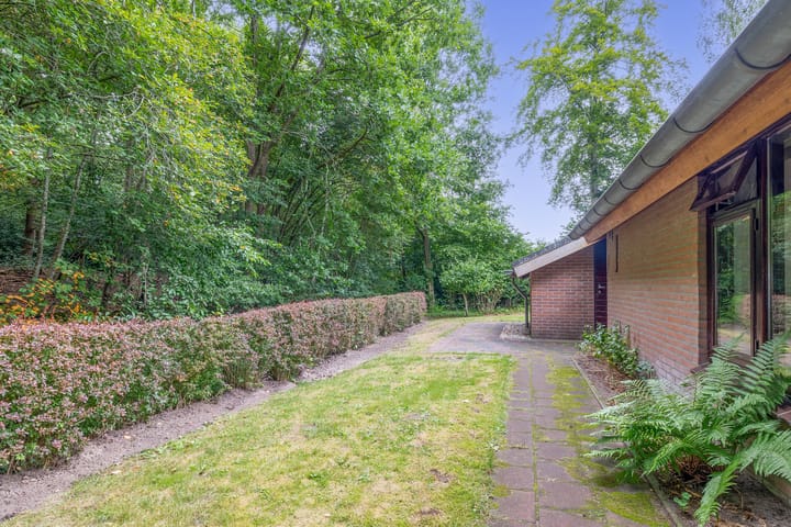 Photo 24 of Konijnenbergen 36