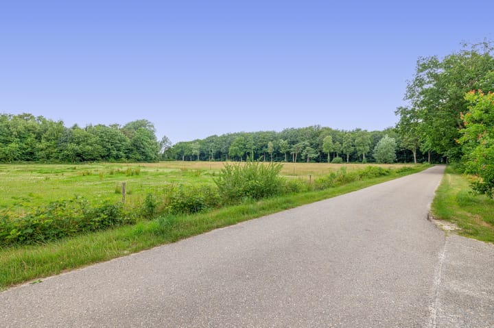 Photo 41 of Konijnenbergen 36