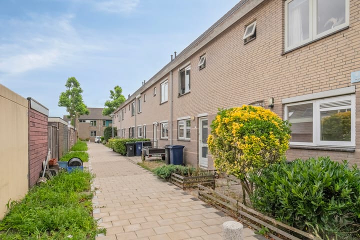 Foto 25 van Bellinipad 15