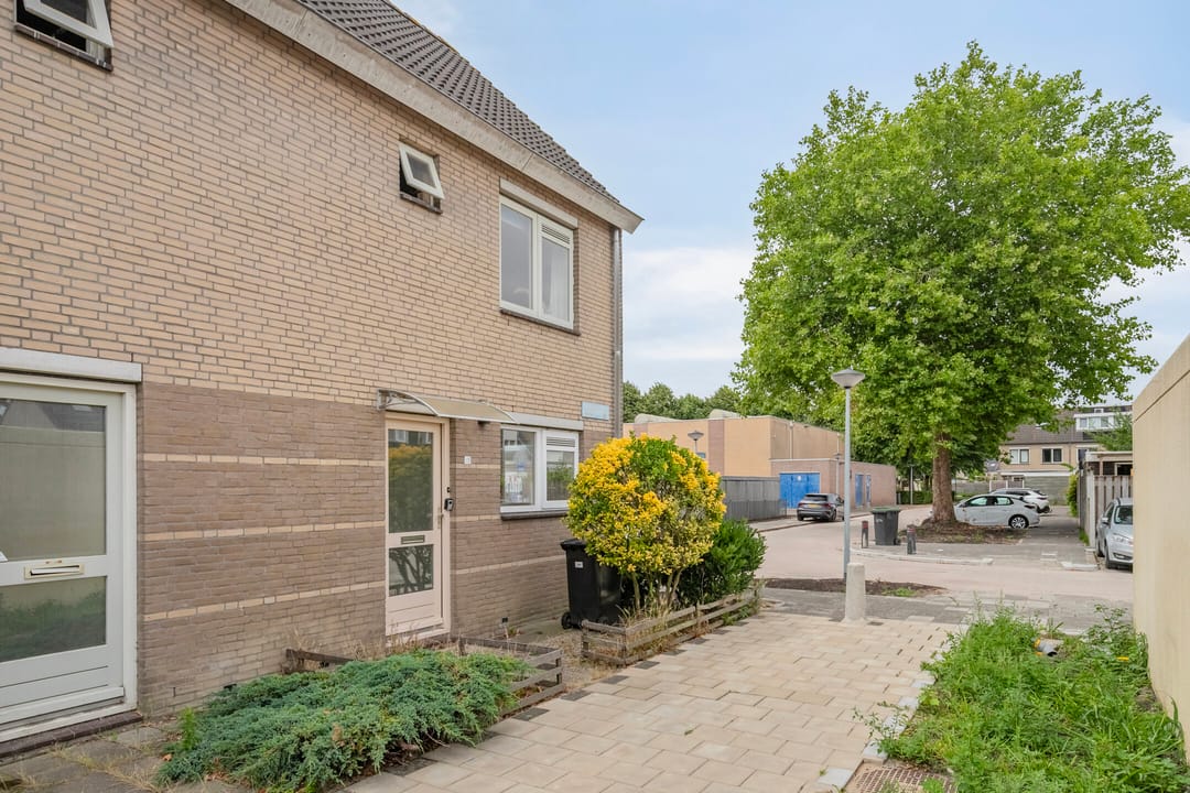 Foto 28 van Bellinipad 15