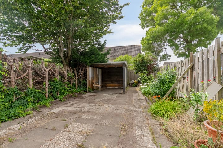 Foto 22 van Bellinipad 15