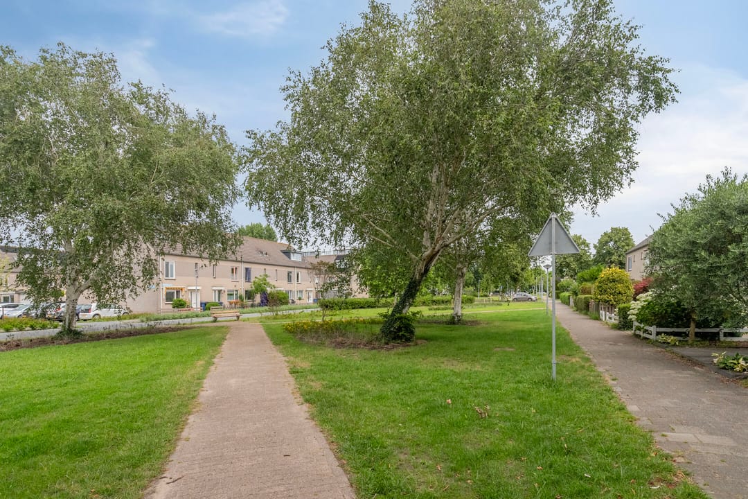 Foto 31 van Bellinipad 15