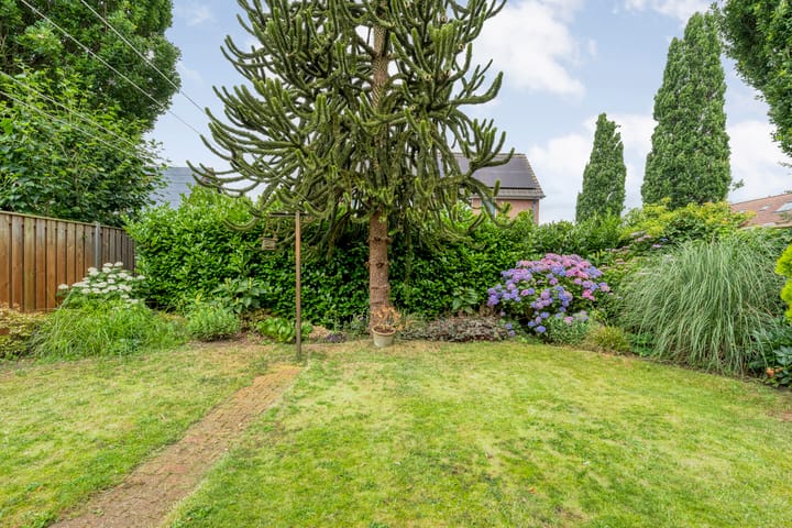 Foto 47 van Tieberije 7