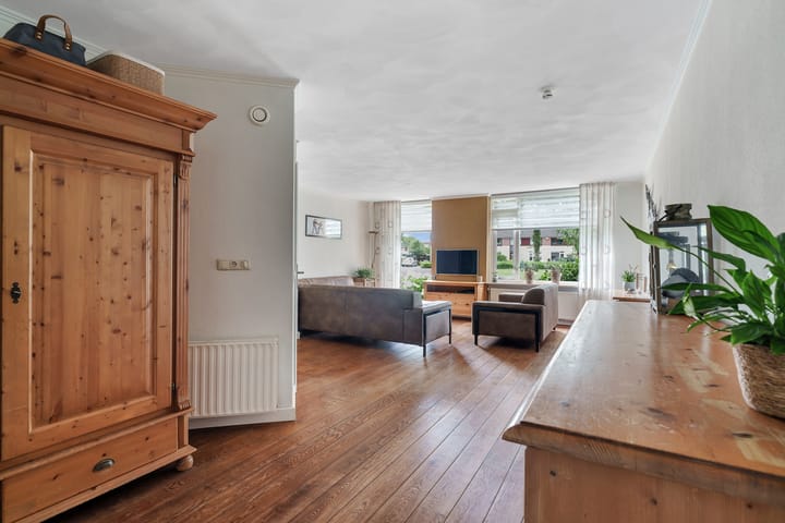 Foto 6 van Zwaluwtong 6