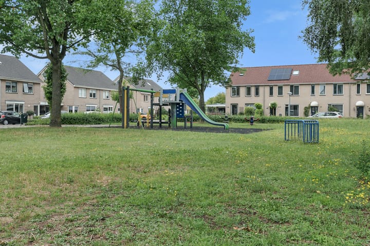 Foto 33 van Zwaluwtong 6