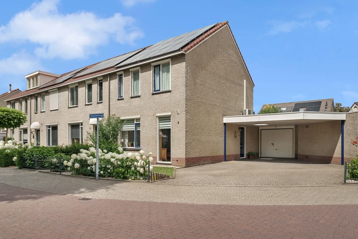 Foto 35 van Zwaluwtong 6