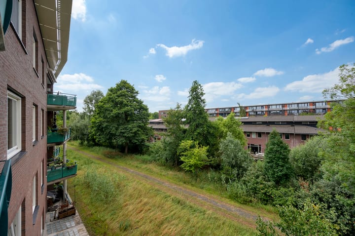 Foto 14 van Praterlaan 38