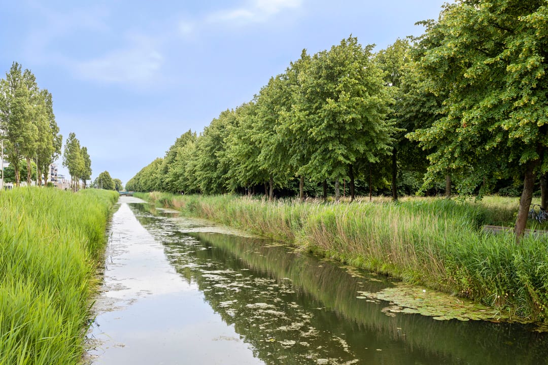 Photo 23 of Geel-groenlaan 179