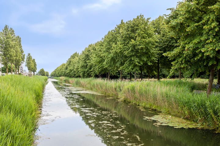 Photo 23 of Geel-groenlaan 179