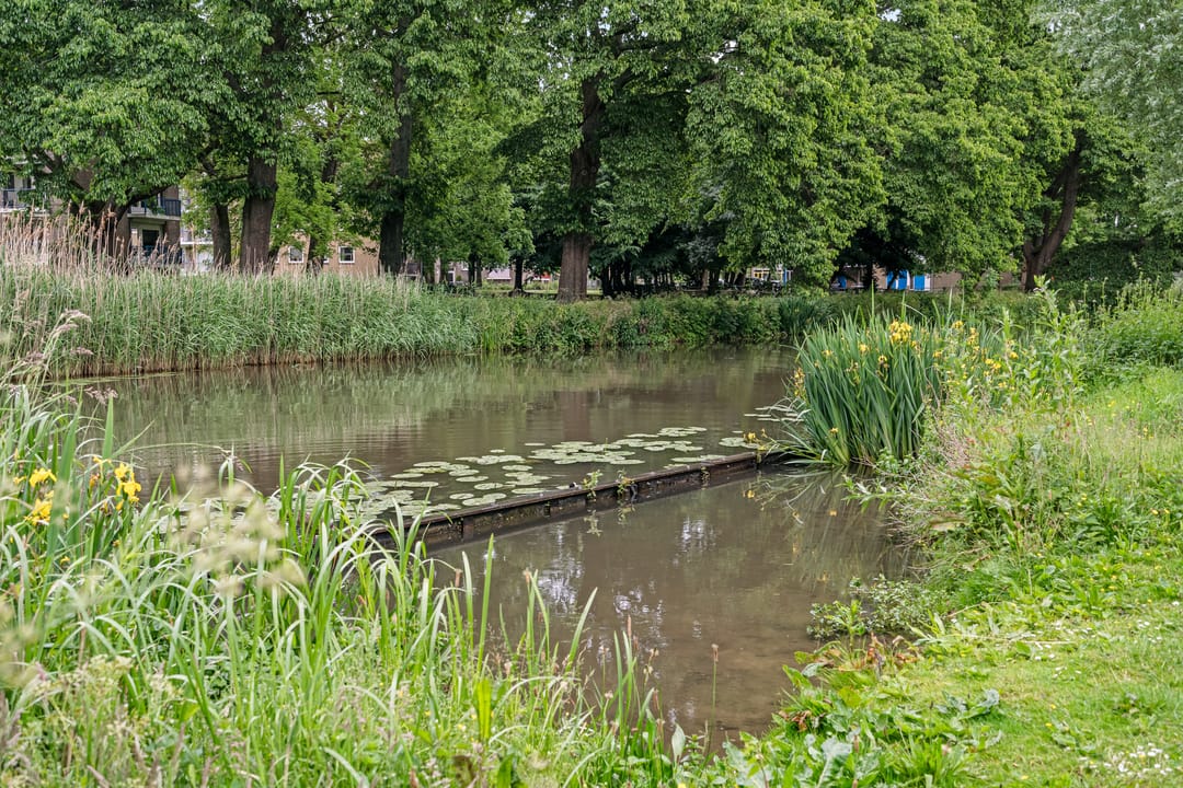 Foto 38 van Koningsweg 23-A