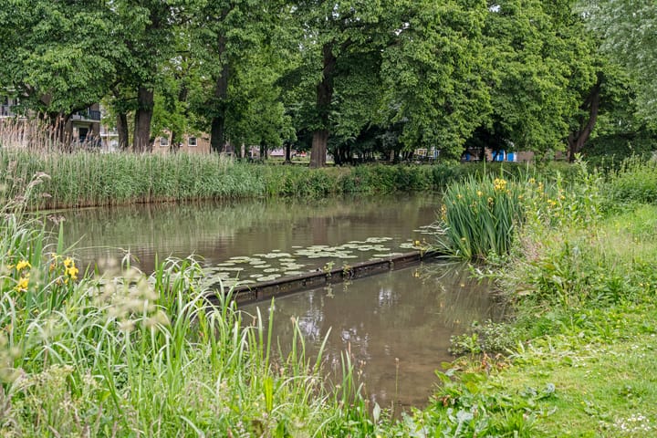 Foto 38 van Koningsweg 23-A