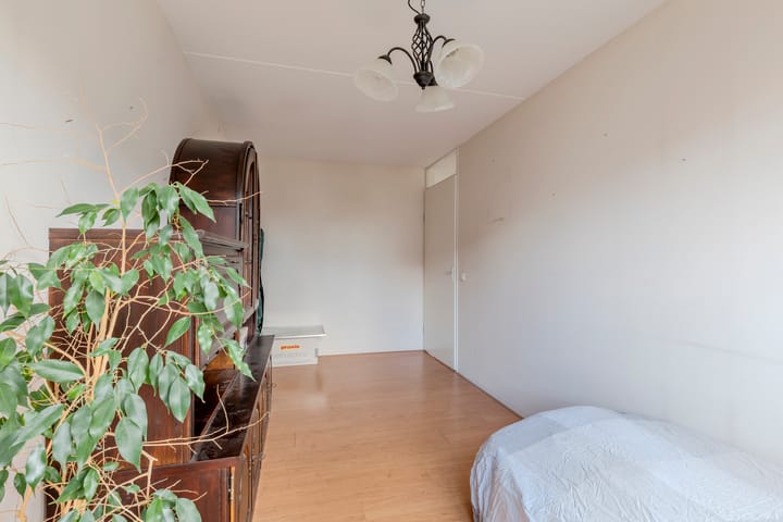 Foto 25 van Meerval 35