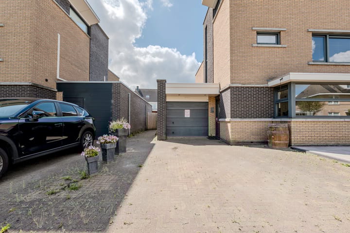 Foto 37 van Meerval 35