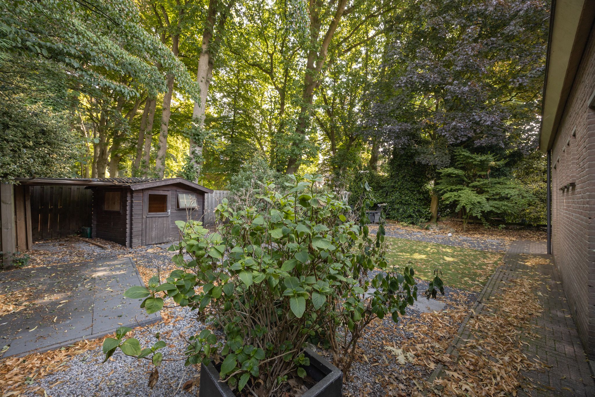 Foto 33 van Mgr. Van Hooydonklaan 17