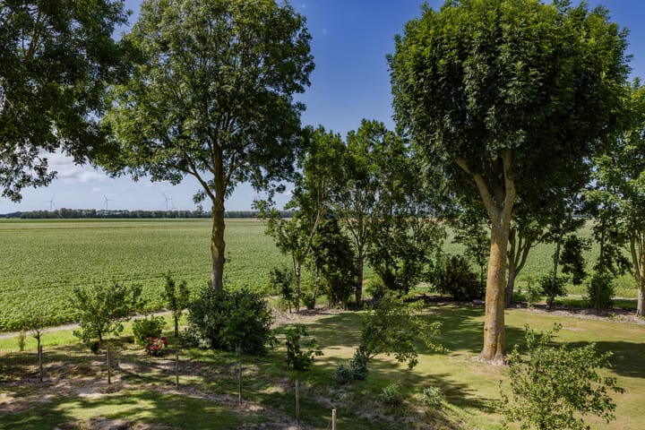 Photo 29 of Westerterpweg 24