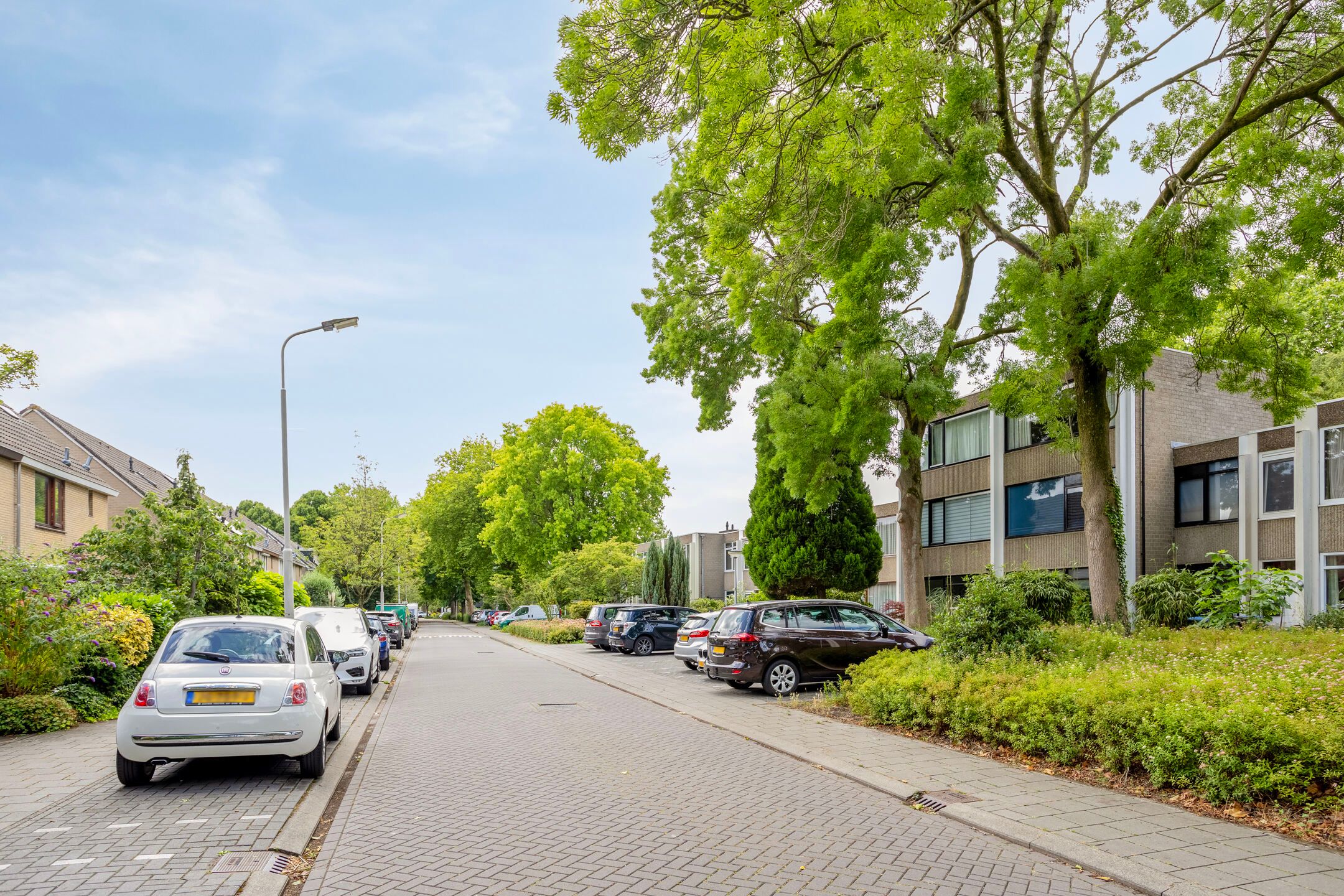 Foto 51 van Treilerstraat 95