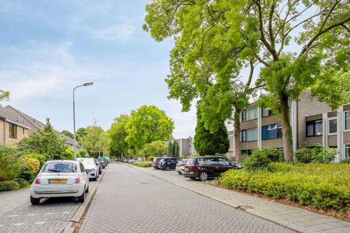 Foto 51 van Treilerstraat 95