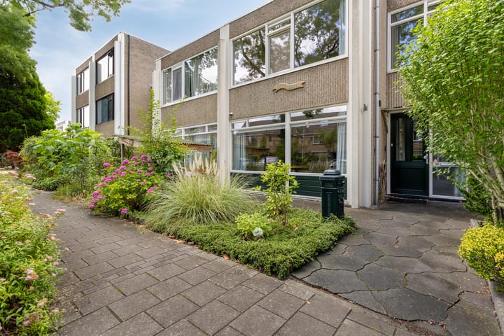 Foto 52 van Treilerstraat 95