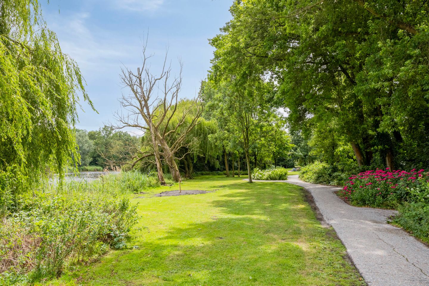 Foto 55 van Treilerstraat 95