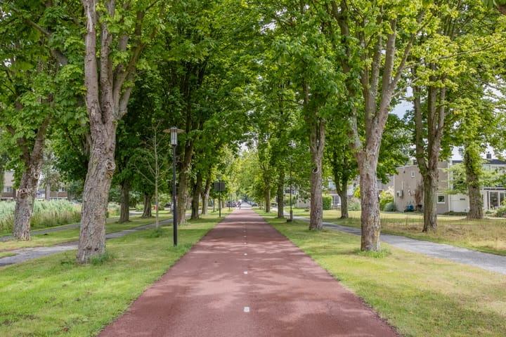 Foto 56 van Treilerstraat 95