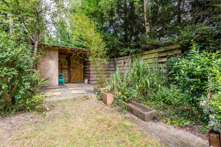 Foto 48 van Hollandstraat 9