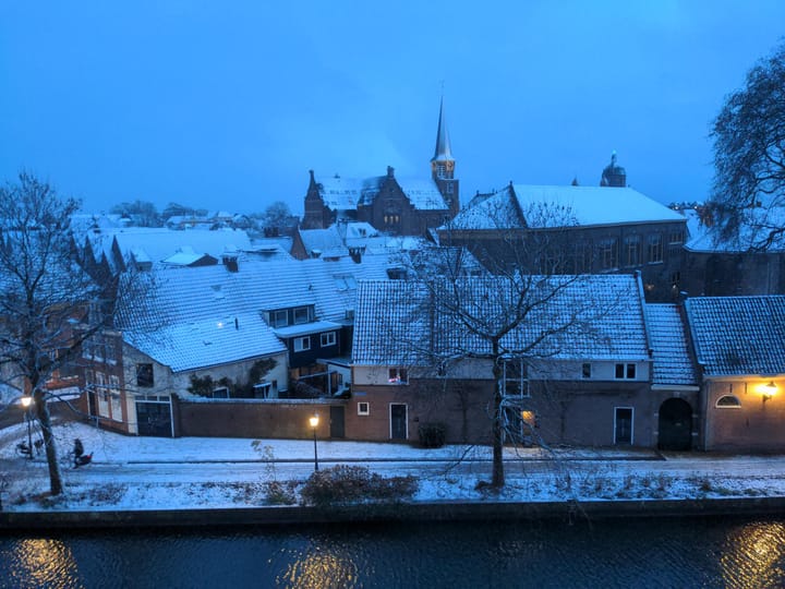 Foto 40 van Onder de Boompjes 20-D