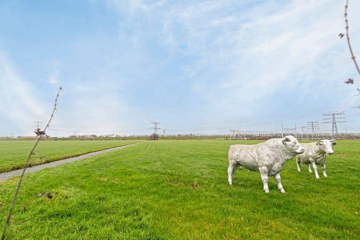 Foto 37 van Kortrijk 3