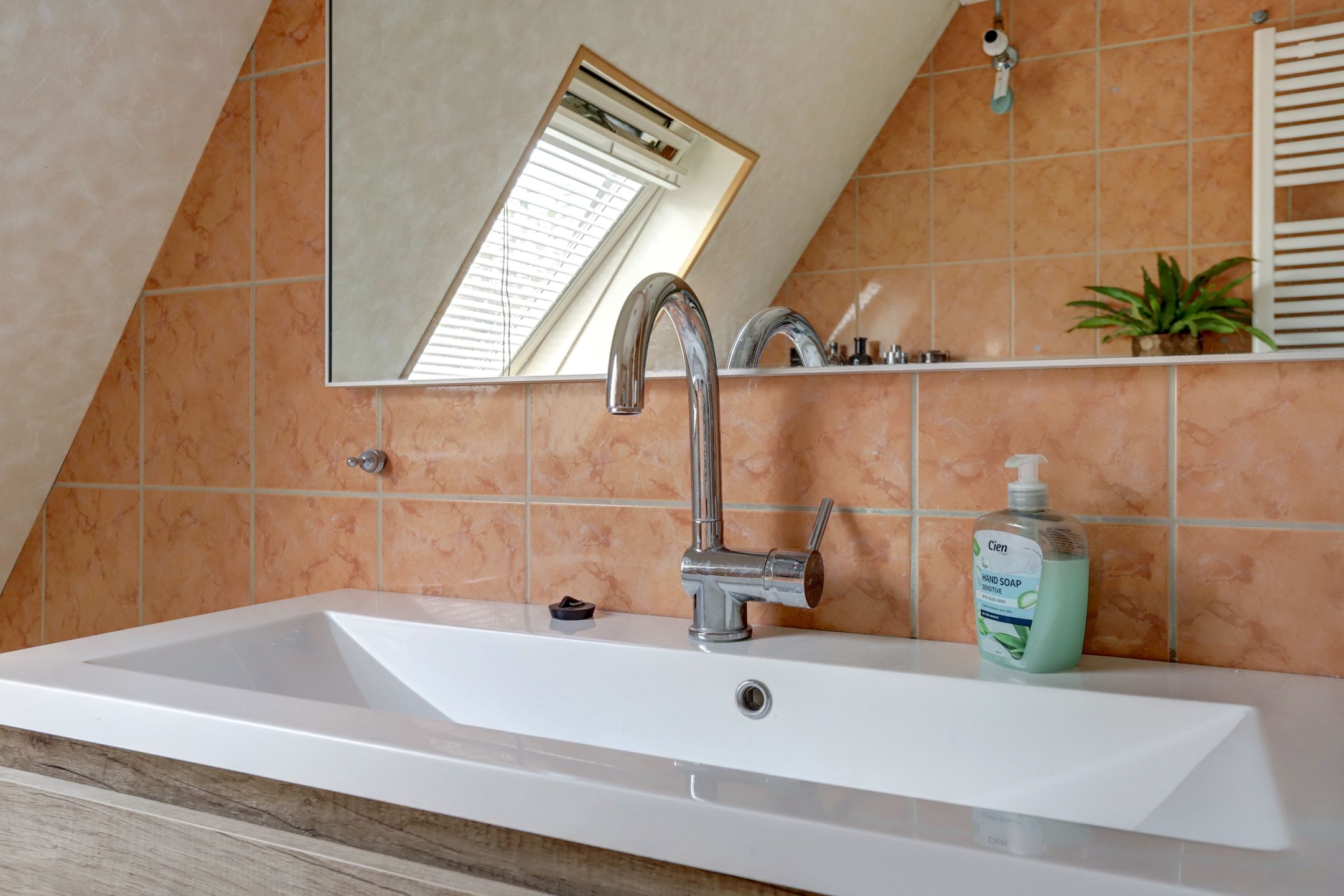 Foto 24 van Sterappel 20