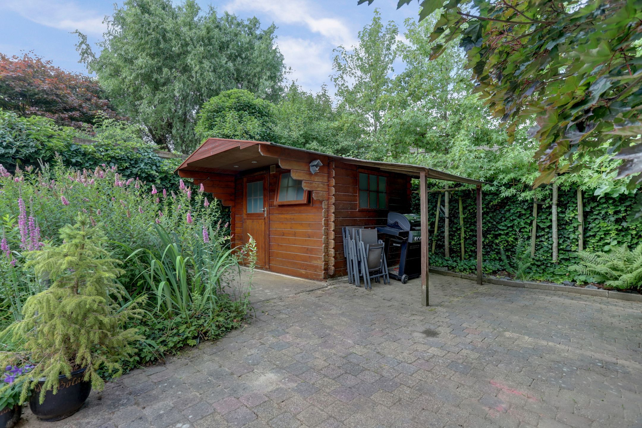 Foto 39 van Sterappel 20