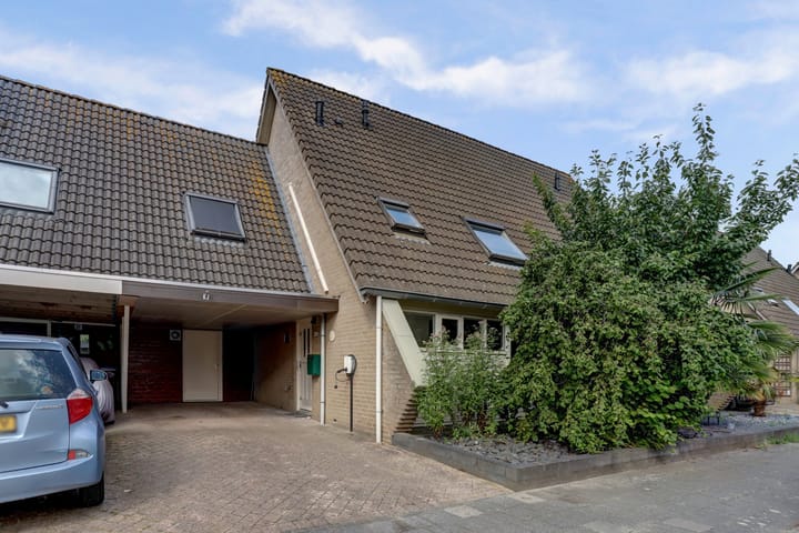 Sterappel 20 main image