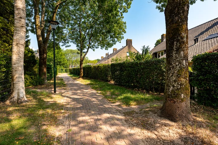 Foto 23 van Rongen 6