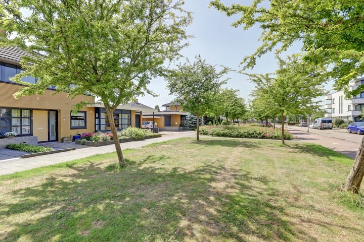 Foto 5 van Naaldvaren 12