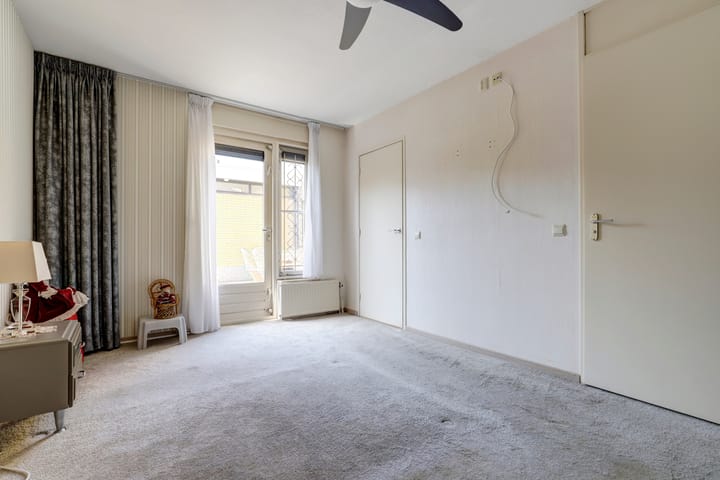 Foto 14 van Naaldvaren 12