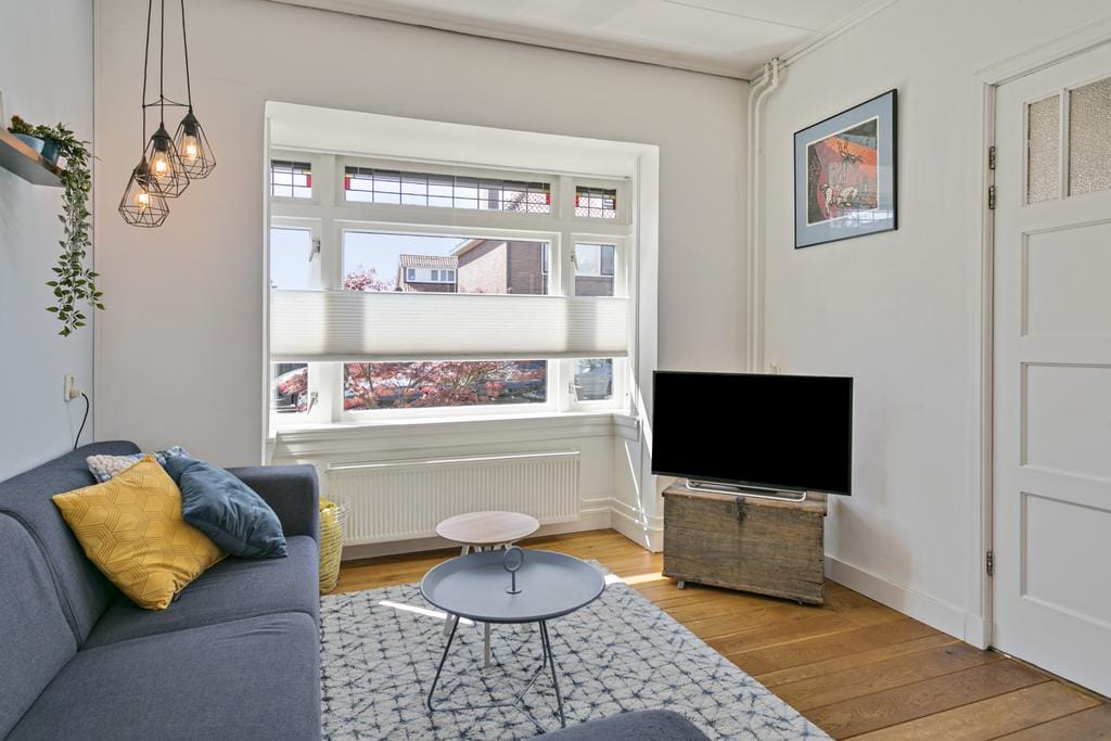 Foto 4 van Potterstraat 18