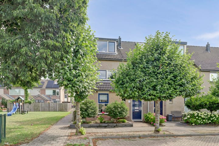 Foto 1 van het Laantje 29